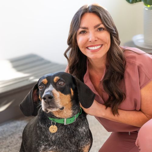 Magnolia Bay Animal Hospital favicon