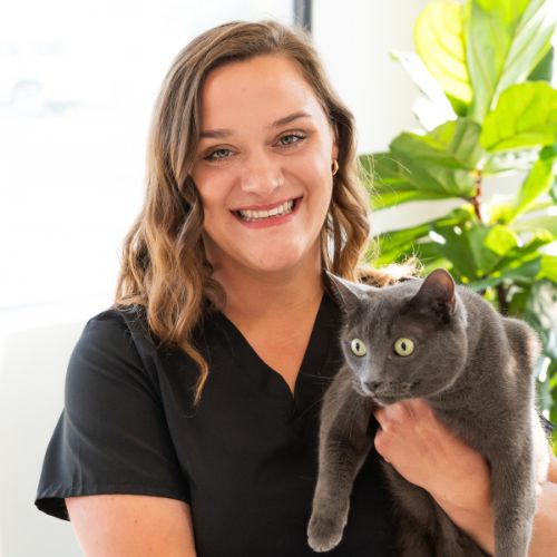 Magnolia Bay Animal Hospital favicon